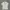 Kaos Guess second photo 1