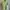Nike ACG Logo Tee Barely Volt (Size M) photo 1