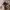 Nikon Coolpix S360  photo 1