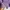 Nike ACG Logo Tee Purple photo 7