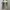 Fairy Coquette Summer dress Wanita cream photo 2