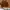 Casual Handbag Wanita Brown