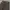 Road Runner Cargo Pants Brown Wash photo 4