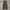 Road Runner Cargo Pants Brown Wash photo 2