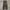 Road Runner Cargo Pants Brown Wash