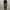 Road Runner Cargo Pants Brown Wash photo 1