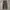 Road Runner Cargo Pants Brown Wash photo 3