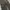 Road Runner Cargo Pants Brown Wash photo 6