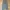 Cargo Baloon Wide Leg Gray
