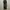 Status Cargo Pants Brown Wash photo 1