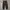 Status Cargo Pants Brown Wash