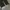 Status Cargo Pants Brown Wash photo 9