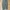 Vtg LL Bean Green Cargo Pants photo 3