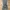 Vtg LL Bean Green Cargo Pants photo 7