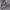 •EDIKTED GREY PANTS (Loose fit)• photo 4