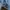 Vintage Wrangler Type II Blue Denim Trucker Jacket photo 6