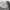 Curren stage suede casual flight jacket ( Boxyfit  photo 9