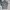 Neighborhood Streetwear Y2K T-shirt Pria gray photo 5