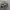 🛞SANSAISHA | CARABINER KEYCHAIN CARS | 53 MAX SPEED photo 2