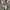 🛞SANSAISHA | CARABINER KEYCHAIN CARS | 53 MAX SPEED photo 1