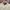 Atasan Brukat Blouse Lace Vintage photo 2