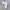 Karl Lagerfeld Luxury T-shirt Pria white photo 1