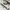 Karl Lagerfeld Luxury T-shirt Pria white photo 3