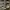 ADIDAS SL 72 ISLAND PACK KALIMANTAN , ADIDAS SL 72 KALIMANTA photo 1