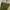 Giordano Green Army Chino Pants photo 2