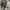 Fatigue pants cargo by TALBOTS photo 7