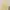 Vest Katun Linen by Shein photo 2