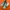 asics magic speed
 photo 1