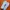 nike air max 97
 photo 5