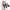 Binnie Keychain Bag, Tumblr / Phone Etc