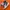 nike jordan low travisscott
 photo 1