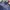 KNITWEAR Jack field Halfzip  photo 4