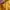 Basic Yellow Dress photo 3