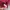 Corset Bra Merah photo 7