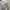 Basic White A line Dress photo 5