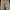 Cargo Military Pants  By GRAVITY