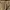 Cargo military pants  by GRAVITY photo 3