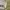 Nba "Golden State Warriors" Pants photo 1