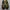 nike TN photo 5