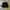 NBA Black on Black Pants photo 6
