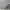 Sportswear Casual Track jacket Pria gray cream photo 8
