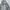 Sportswear Casual Track jacket Pria gray cream photo 6