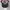 APC Realtree Camo Ripped photo 6