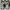 Sepatu TIMBERLAND Mt Maddsen Waterproof Hiking Boots photo 7