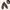 ROCKPORT Leather Loafer woman's photo 1