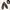 ROCKPORT Leather Loafer Woman's